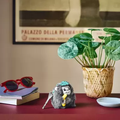 Porte-chaves peludo cinzento com chave, junto a planta em vaso, óculos vermelhos, livros e prato branco sobre superfície vermelha.