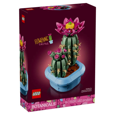 Caixa LEGO com conjunto BOTANICALS cacto a florescer, 482 peças, número 11509