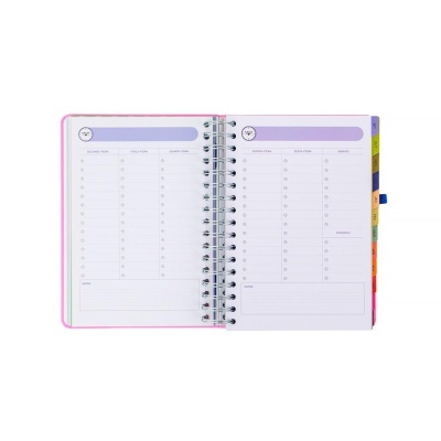 Agenda semanal aberta com separadores coloridos e secção para cada dia da semana em português.