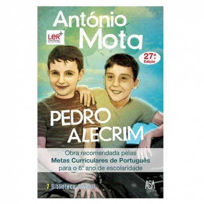 Capa do livro 'Pedro Alecrim' com ilustração de dois rapazes e texto informativo