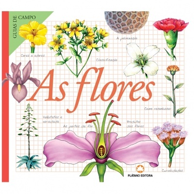 Capa de livro 'As flores' com ilustrações de flores coloridas sobre fundo quadriculado