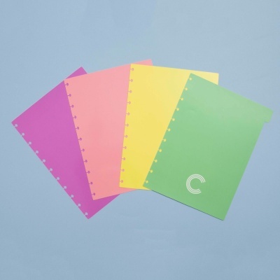 Quatro capas plásticas coloridas para fichário em fundo azul claro