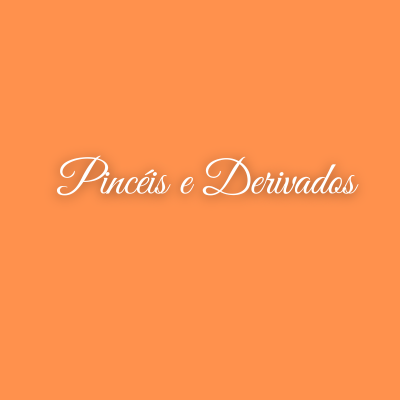 Fundo laranja com texto branco Pincéis e Derivados