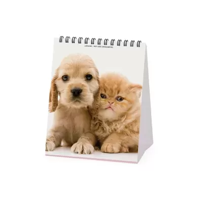 Calendário de mesa com foto de um cachorro e um gato