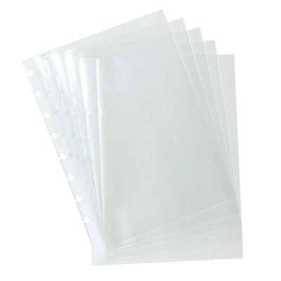 Cinco folhas plásticas transparentes com orifícios para fichário