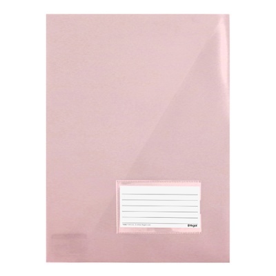 Pasta cor-de-rosa translúcida com etiqueta para nome