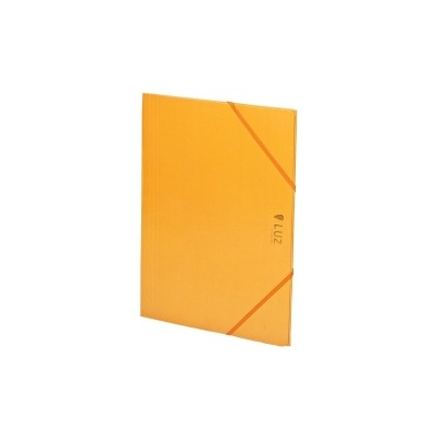 Capa de pasta de arquivo laranja com elásticos e texto LUZ