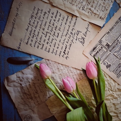 Três tulipas cor-de-rosa sobre papéis manuscritos antigos e jornal antigo