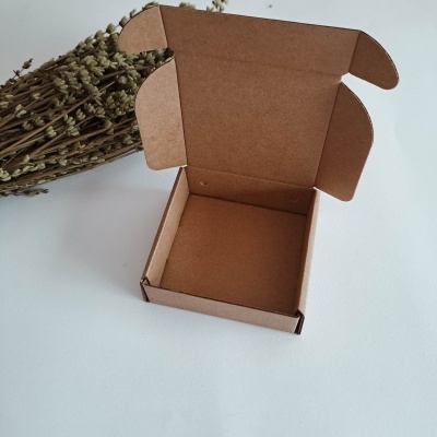 Caixa de cartão castanho aberta com planta seca ao lado sobre fundo branco