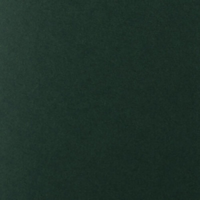 Folha verde escura lisa