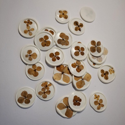 Botões redondos brancos com flores secas prensadas no centro