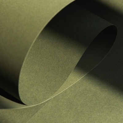 Folhas de papel verde curvadas com sombras suaves