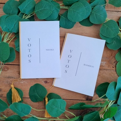 Dois livros brancos com títulos 