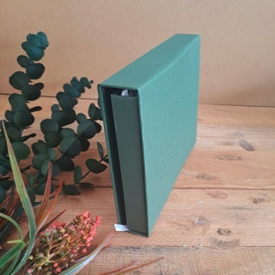 Livro com capa dura e caixa verdes sobre mesa de madeira junto a plantas decorativas