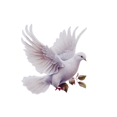 Pomba branca em voo segurando um ramo com folhas