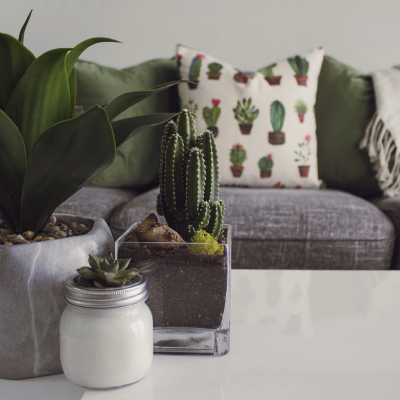 Três vasos com plantas suculentas sobre mesa branca e sofá com almofadas e manta, cenário de sala de estar.