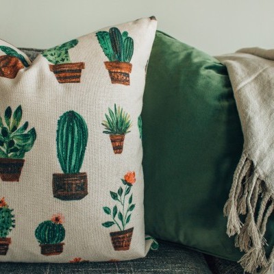 https://parallax.shopk.it/product/cactus-pillow