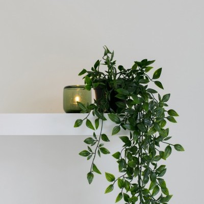 https://parallax.shopk.it/product/droplet-plant-kit