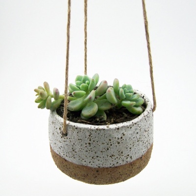 Vaso suspenso em cimento com planta suculenta verde
