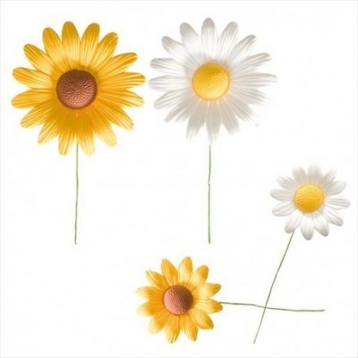 Flores artificiais amarelas e brancas com centros castanho e amarelo e hastes verdes