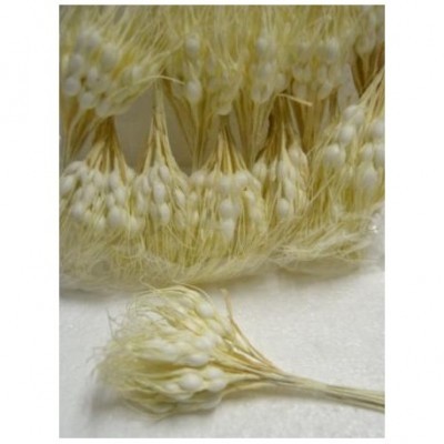 Raminho de flores secas creme em fundo branco