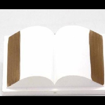 Escultura de livro aberto com páginas brancas e bordas castanho-douradas