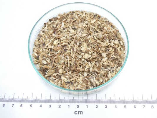 Equinácea púrpurea raiz bio* equinácea raiz bio a granel