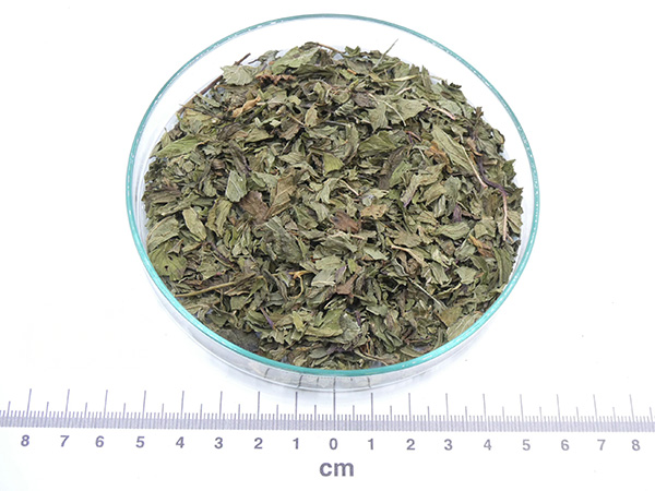 Hortelã-pimenta bio* hortelã pimenta bio a granel