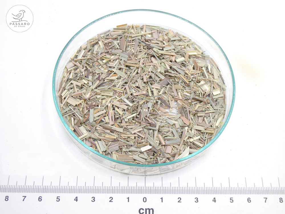 Erva-príncipe bio* Ervas secas picadas num prato de vidro com régua em centímetros no fundo e logotipo PÁSSARO DE ERVAS