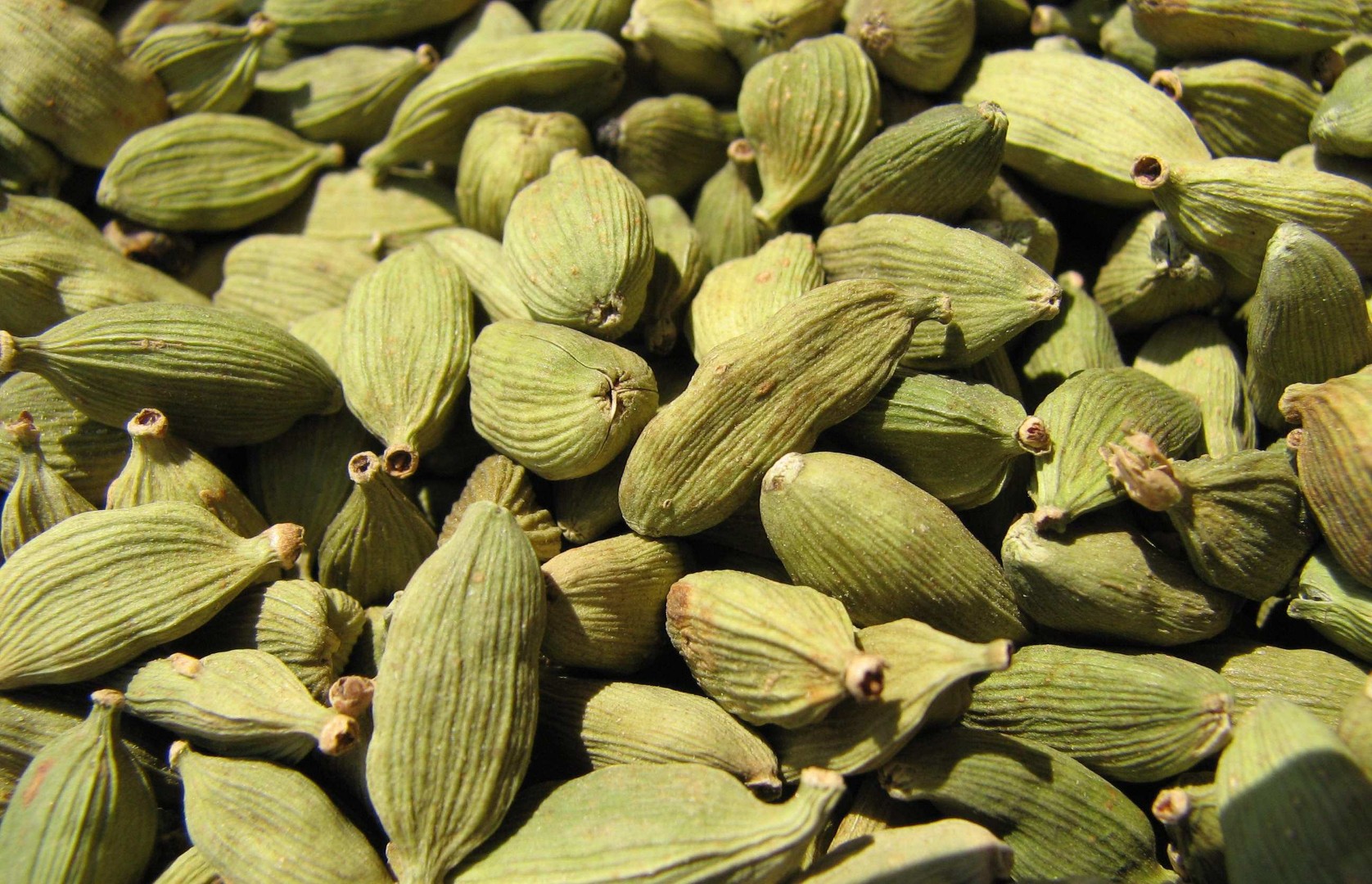 Vagens de cardamomo verde