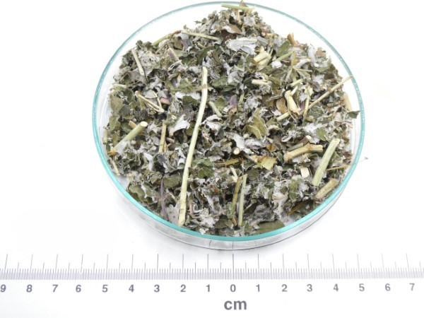 Framboeseira bio* framboeseira folhas granel