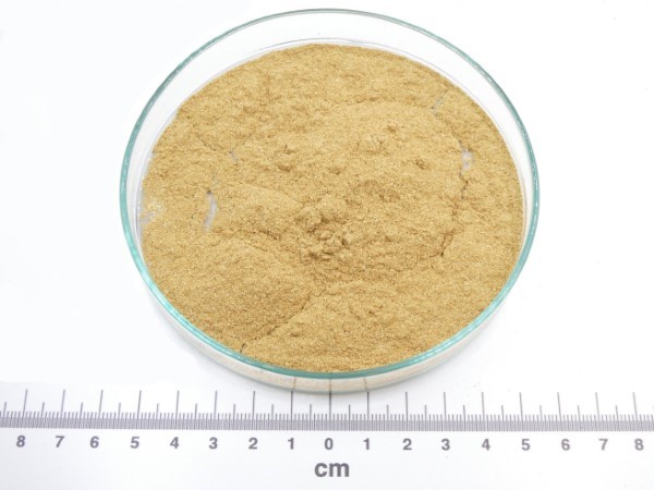 Funcho pó bio* funcho po granel