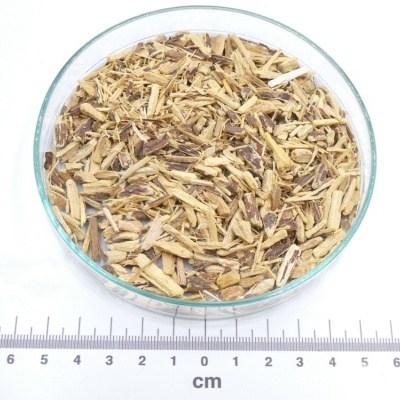 Fragmentos de madeira em recipiente de vidro com régua cm