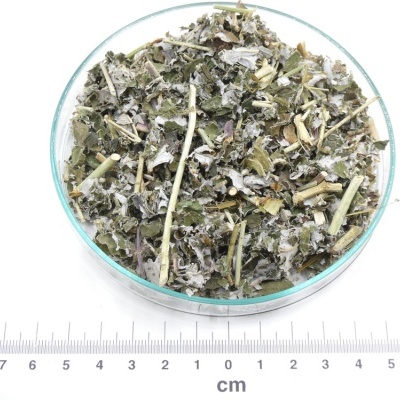 Mistura de ervas secas verdes e castanhas em prato de vidro com régua em centímetros