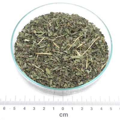 Ervas secas dentro de prato de vidro e régua ao lado com fundo branco