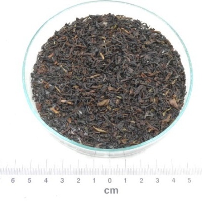 cha preto darjeeling bio granel