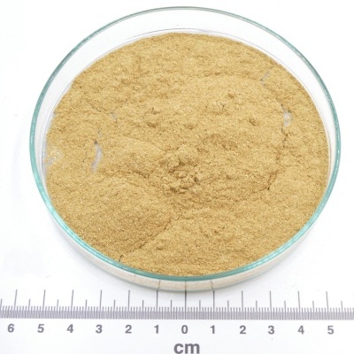 Pó castanho claro em placa de vidro sobre régua em centímetros com fundo branco e logótipo