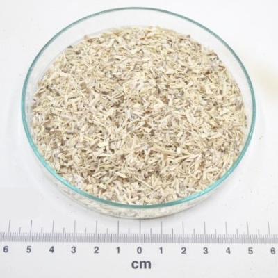 ginseng siberiano bio granel