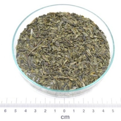 cha verde sencha bio granel