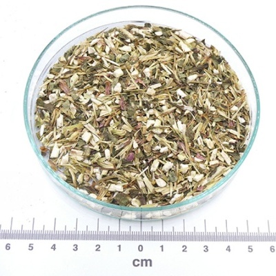 equinácea púrpurea bio granel