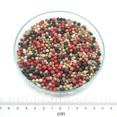 Mistura colorida de pimentos em grão num prato de vidro com régua e logótipo