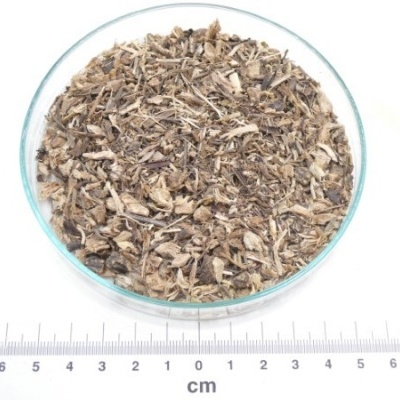 equinacea raiz granel