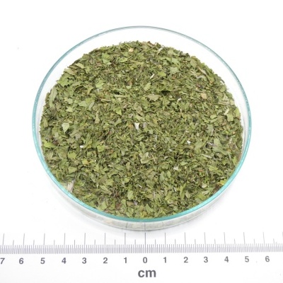 Folhas secas picadas verdes em prato de vidro com régua em centímetros e logotipo de marca no canto superior esquerdo.