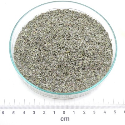 Ervas secas de tomilho em recipiente de vidro com régua em centímetros