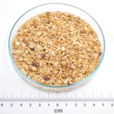 alho granulado granel