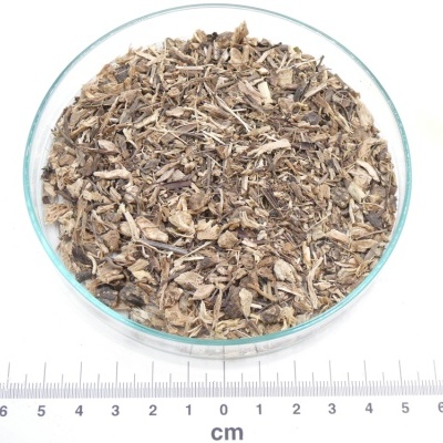 Mistura de ervas secas castanhas em prato de vidro com régua em centímetros ao fundo