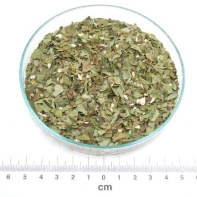 abronceiro folhas granel