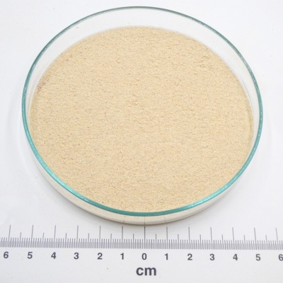 pó bege claro em placa de vidro com régua em fundo branco