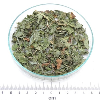 Folhas secas de ervas verdes e castanhas numa placa de vidro com régua em centímetros