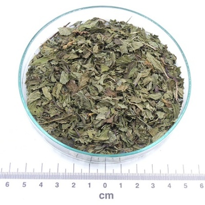 Folhas secas em taça de vidro com régua em centímetros